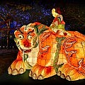 Asia, Birthday, Buddha, Bujonim Oshinal, Busan, festival, Haetae, Korea, lantern, tiger, travel, Yongdusan Park